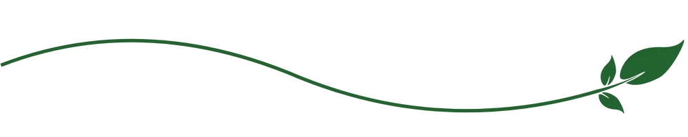 Et blad med en lang stilk